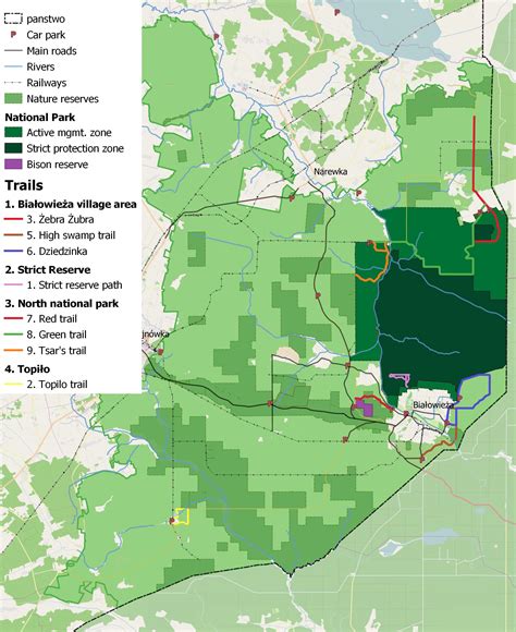 A brief tourist guide to Białowieża Forest – Tom Diserens