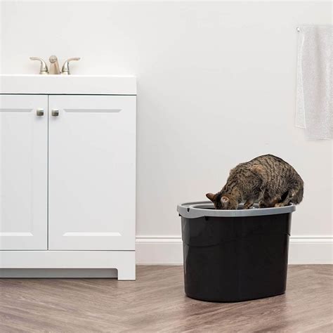 The Best Top Entry Cat Litter Boxes in 2023 | PawGearLab