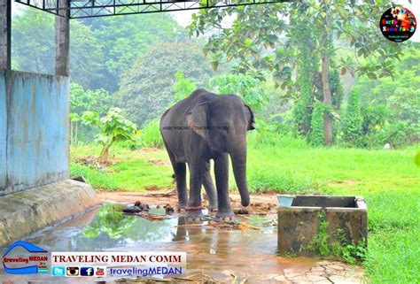 Wisata Keluarga Ke Medan Zoo - Pariwisata Sumut