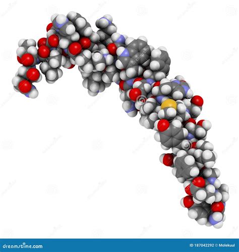 Gastric Inhibitory Polypeptide (GIP, Glucose-dependent Insulinotropic Peptide) Endocrine Protein ...