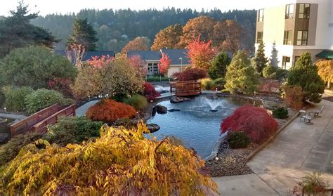 Our Campus - Willamette View