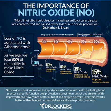 Nitric Oxide Benefits and How to Increase Levels - DrJockers.com