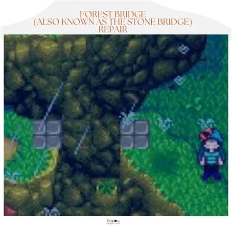 A Comprehensive Guide to Bridge Repair in Stardew Valley - Pigtou