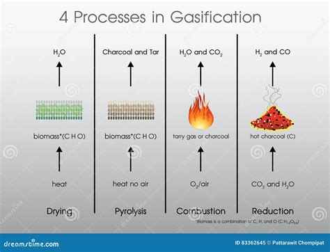 4 Processes In Gasification. Education Infographic. Vector Design. Cartoon Vector ...