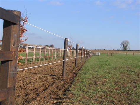 Electric Horse Cable: White - McNamara Fencing