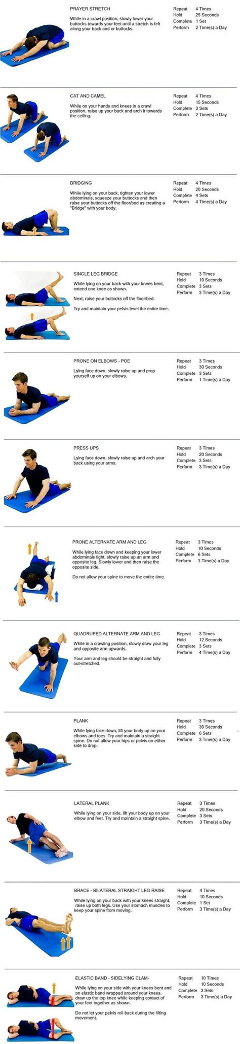 Core Exercises! | Glutes workout, Family wellness, Hip flexor