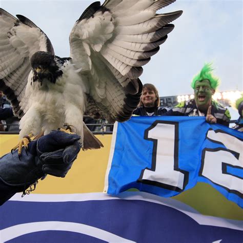 Taima the Hawk: Everything You Need to Know About Seahawks' Feathered ...