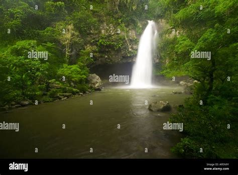 Waterfall on Taveuni Island Fiji Stock Photo - Alamy