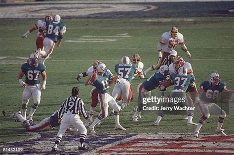 94 David Woodley Dolphins Stock Photos, High-Res Pictures, and Images ...