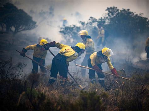 South Africa evacuates coastal communities as wildfires burn out of ...