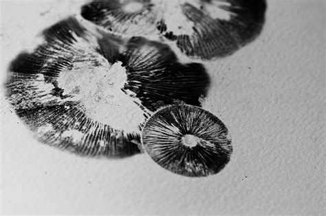 Mycology on Behance