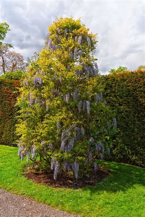 FARMLEIGH ESTATE - HOUSE AND GARDENS