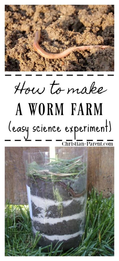 Pin by science education on Science | Science experiments kids elementary, Science activities ...