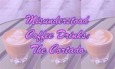 Easy Homemade Cortado Coffee Recipe 2024 - AtOnce