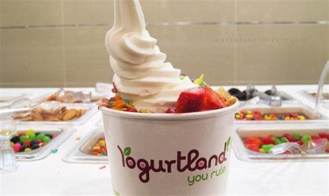 America's 13 Best Frozen Yogurt Chains