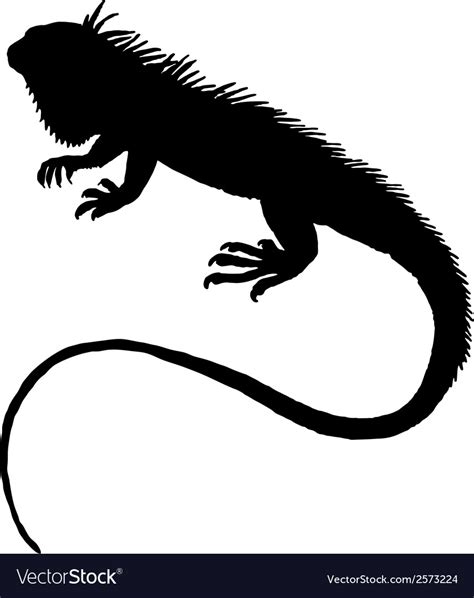 Iguana silhouette Royalty Free Vector Image - VectorStock