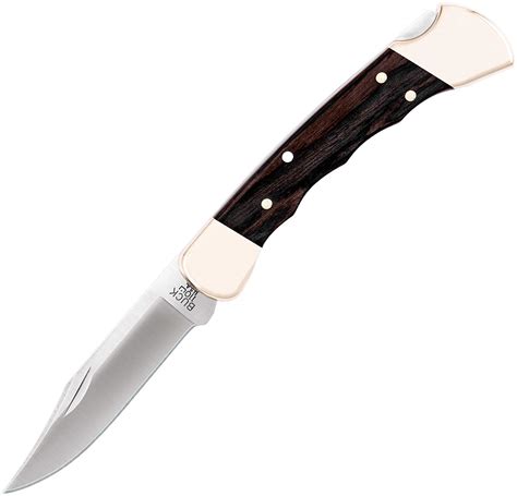 Buck 110 Knife – KnifeGenie.com