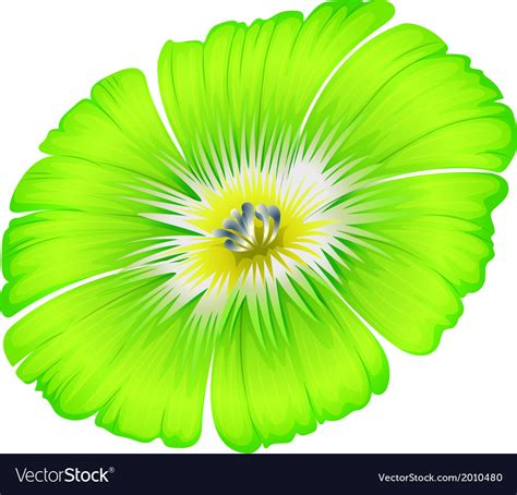 A bright green flower Royalty Free Vector Image