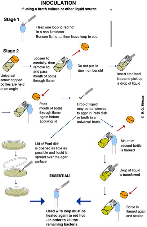 Microbiological techniques - the basics