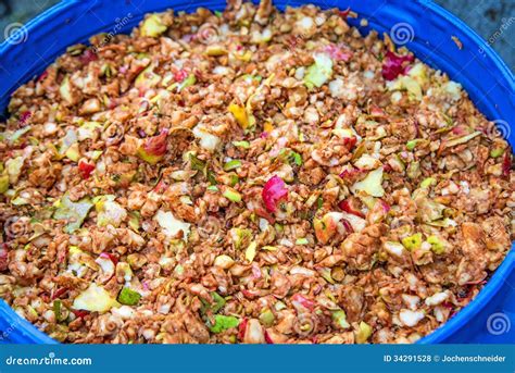 Apple pomace stock photo. Image of apple, decay, rest - 34291528