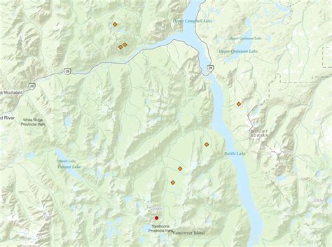 Vancouver Island lightning storms spark nine wildfires and counting