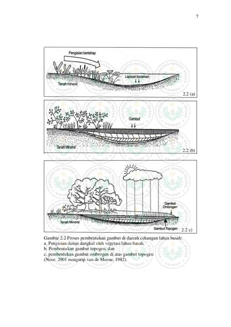 Info Dan Tips: Mengenal Tanah Gambut