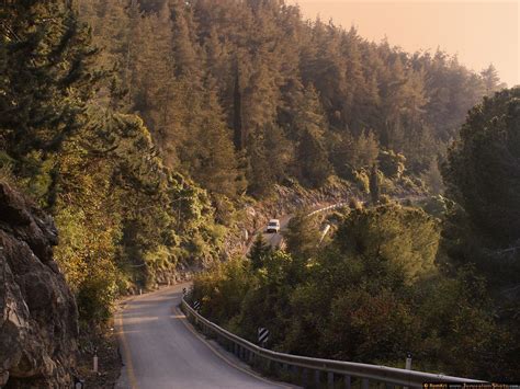 Jerusalem Photos :: Places : Jerusalem forest