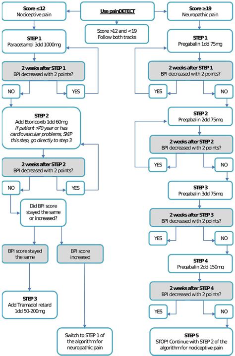 | Pain medication algorithm for nociceptive pain (left track),... | Download Scientific Diagram