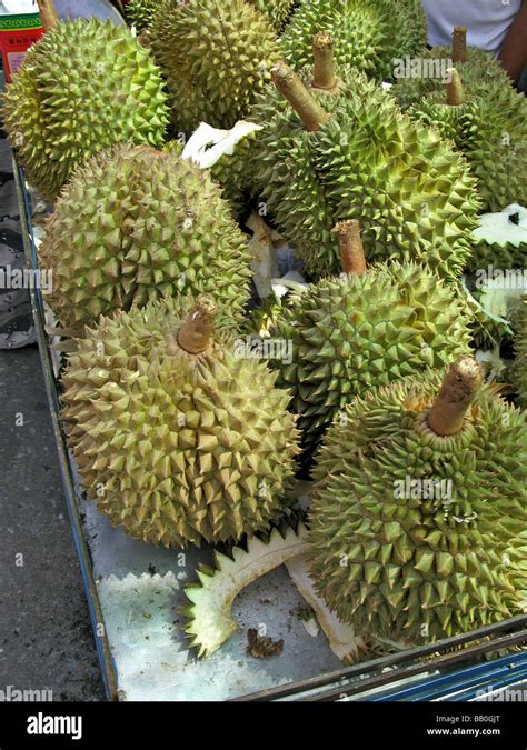 Durian Fruit Bangkok Thailand High Resolution Stock Photography and Images - Alamy