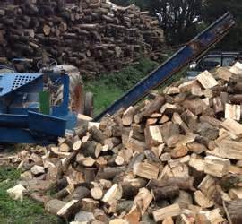 Dorset County Logs For Sale - Log Loads and Prices