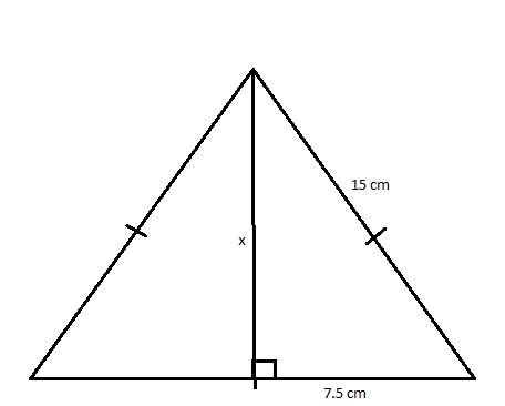 Does the Altitude of an Equilateral Triangle Bisect the Base