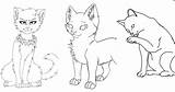 15 Free Warrior Cat Coloring Pages For Kids And Adults sketch template