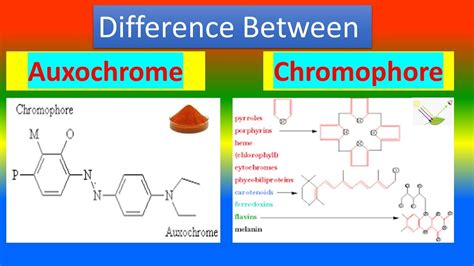 Difference between Auxochrome and Chromophore - YouTube