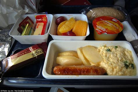 Airline food from around the world revealed (but not all of it is unappetising) | Daily Mail Online
