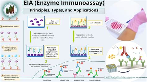 EIA (Enzyme Immunoassay) | Lab Tests Guide