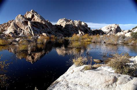 Desert Oasis II Photograph by Tony Shelfo - Fine Art America