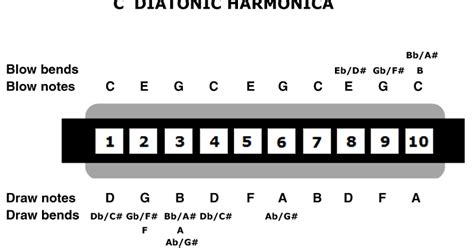 Note Harmonica Diatonic - The Harmonica