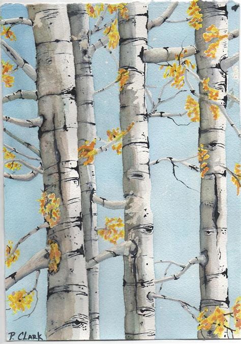 Birch Trees Illustration