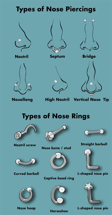 How to Blow Your Nose With a New Nose Ring - Wardlaw Boyetled