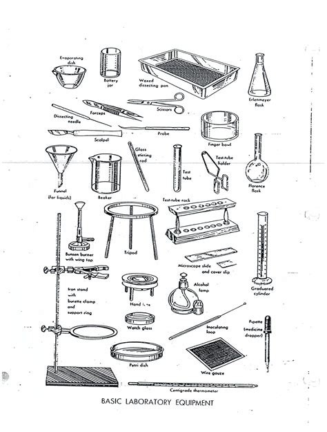 Science Lab Equipment Worksheet Elementary