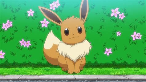 With Pikachu’s retirement looming, why should Eevee be the next Pokemon mascot?