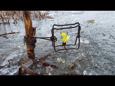 11 Muskrat trapping ideas | traps, fishing trap, coyote trapping