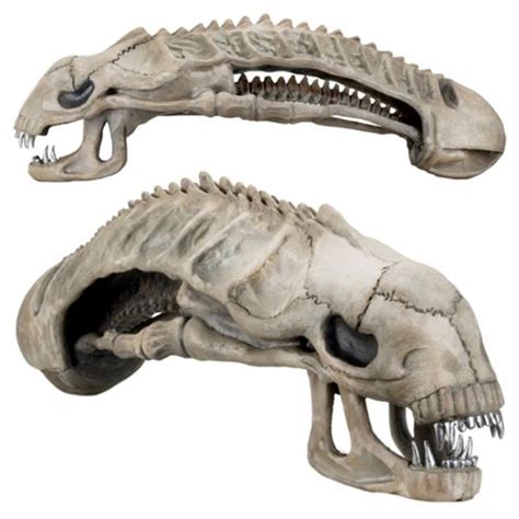 NECA - Alien Aliens 1:1 scale Xenomorph Skull Replica #NEC-51645