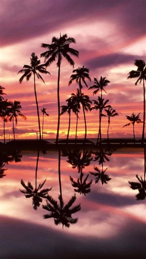 Gorgeous Tropical Sunset - Honolulu, Hawaii | Landschappen, Achtergronden, Landschap