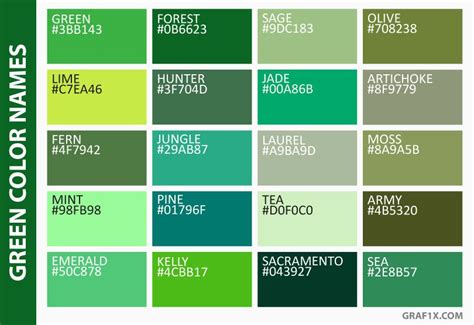 List of Colors with Color Names | Green color names, Color names, Brown color names