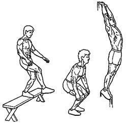 13 Exercises to Build Explosive Strength and Increase Your Vertical Jump