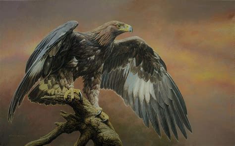 Birds of prey, Wildlife art, Eagle painting