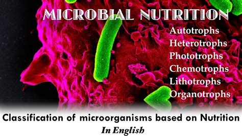 Classification of Microorganisms based on Nutritional requirements ...