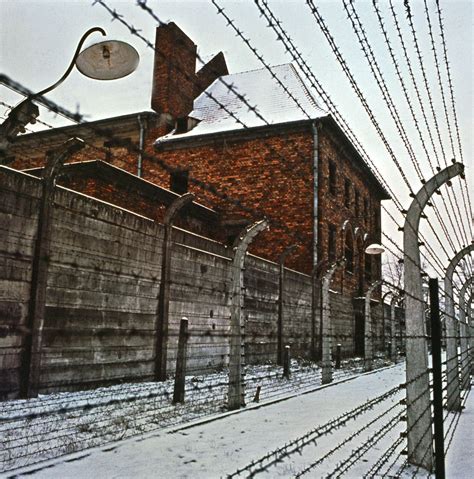 Auschwitz Birkenau State Museum: Ontdek de gruwel van de Holocaust!