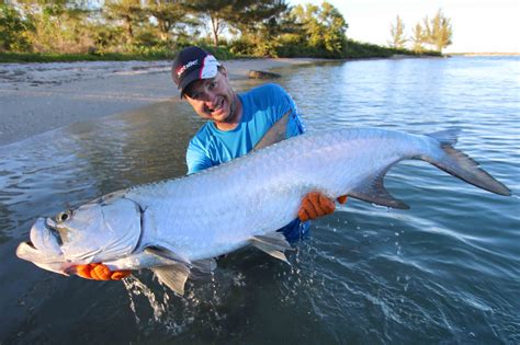 Une histoire incroyable de Tarpon !!!! - delta-fishing.fr